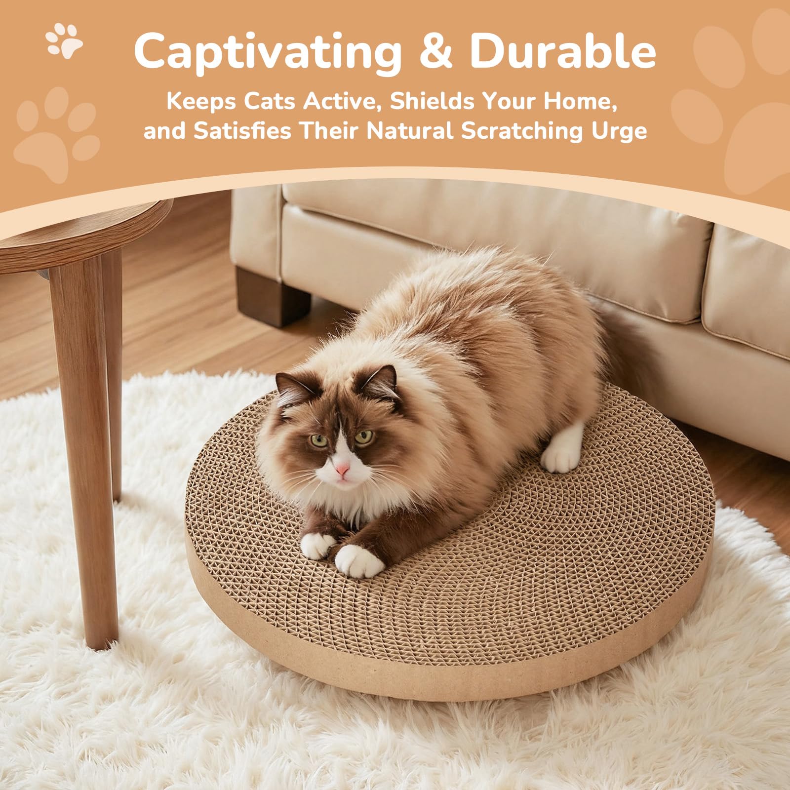 RoseYouth ideal gift for cat lovers, great for single or multi-cat homes