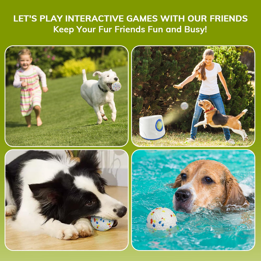 RoseYouth ideal for small and medium dogs, providing enrichment during daily play.