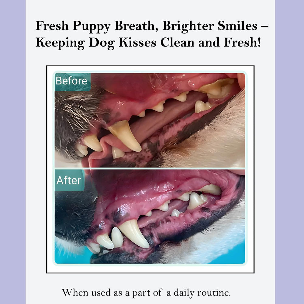 ROSEY'S PUPPY FRESH BREATH in dog bowl with water additive for fresher breath.