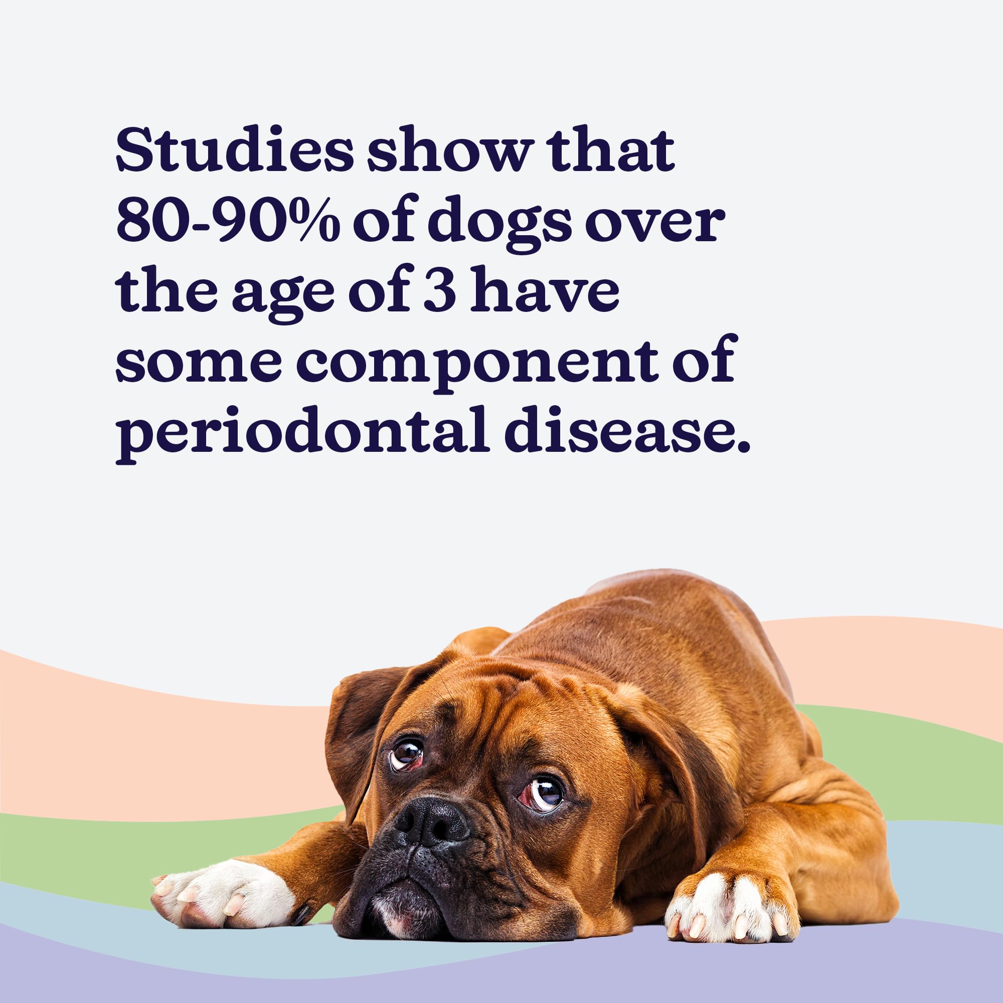ROSEY'S PUPPY FRESH BREATH flavorless formula blends unseen in water.