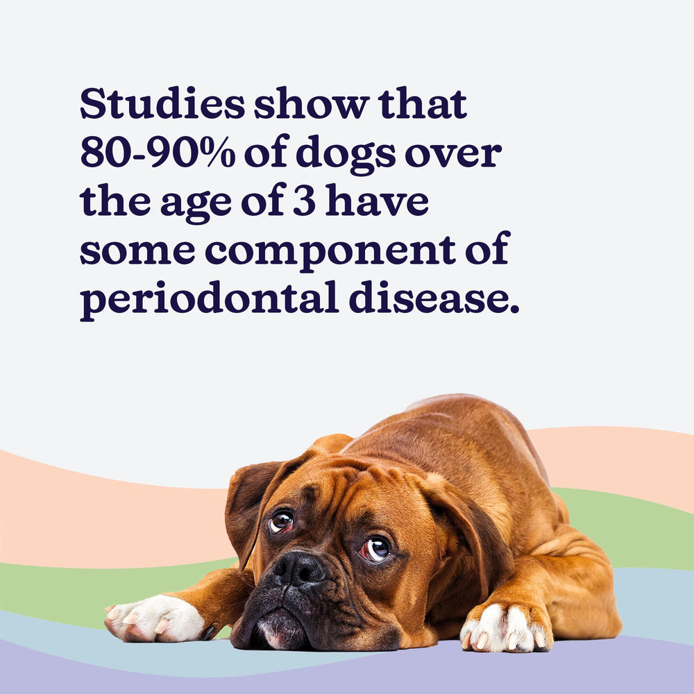 ROSEY'S PUPPY FRESH BREATH flavorless formula blends unseen in water.
