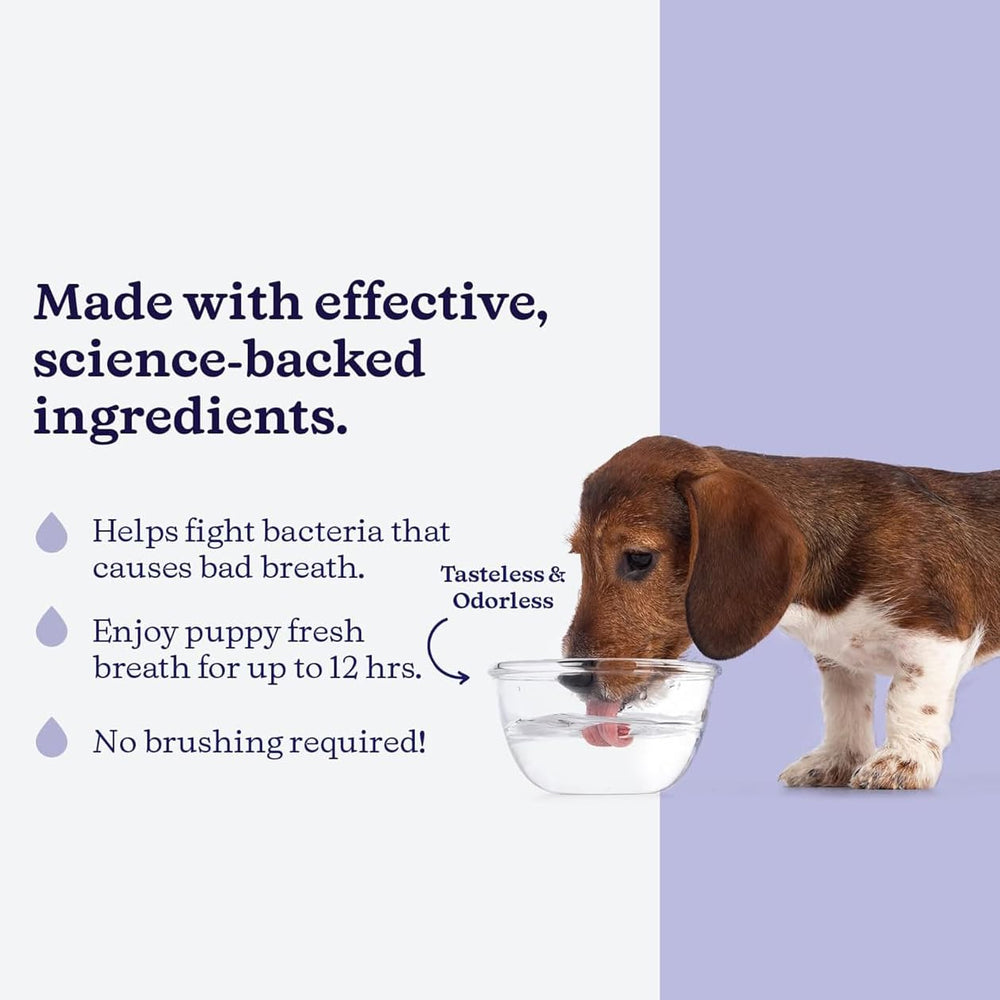 ROSEY'S PUPPY FRESH BREATH being mixed into a water bowl.