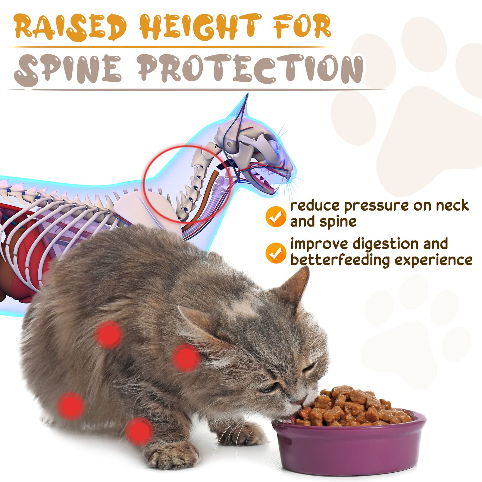 Roshtia spacious bowls reduce spills and drips during feeding