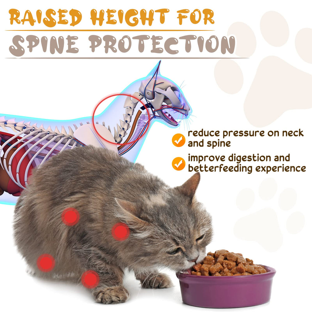 Roshtia spacious bowls reduce spills and drips during feeding
