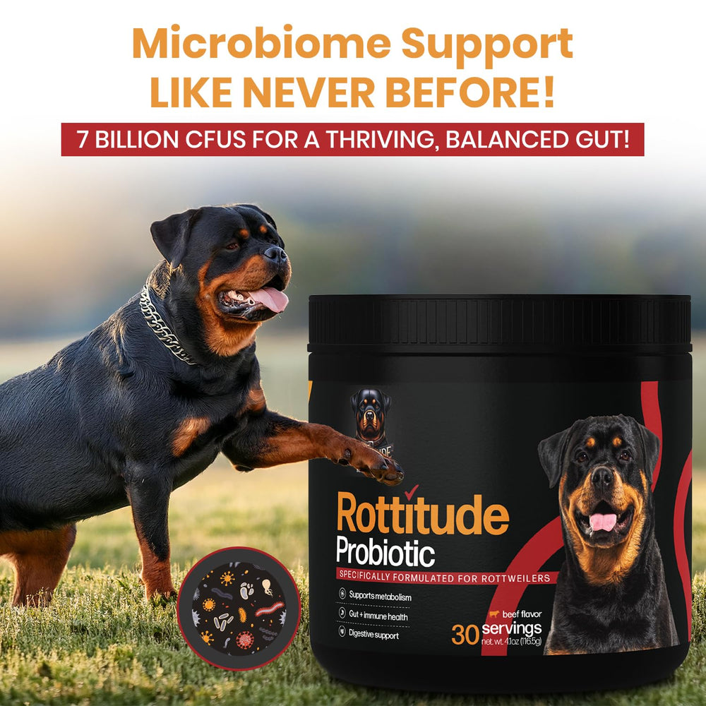 Rottitude Probiotics dog supplement packaging signals routine use.