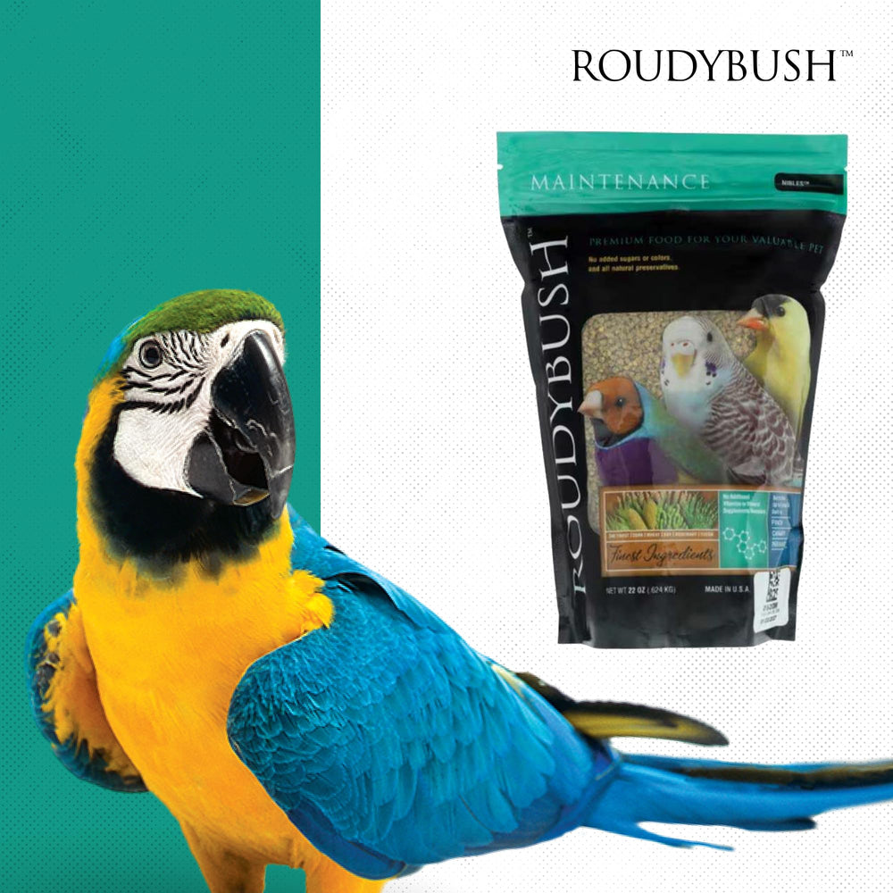 Bird feeding setup with Roudybush pellets in a cage for daily care