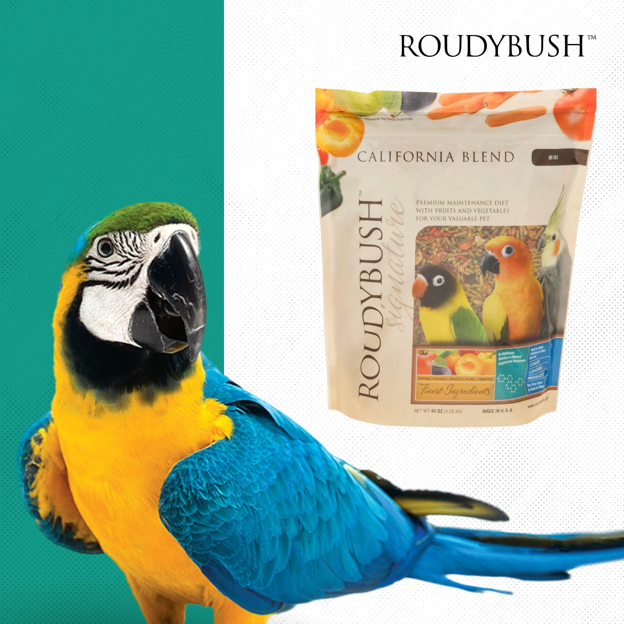 Conure and parakeet-friendly presentation suggests suitability for small birds.