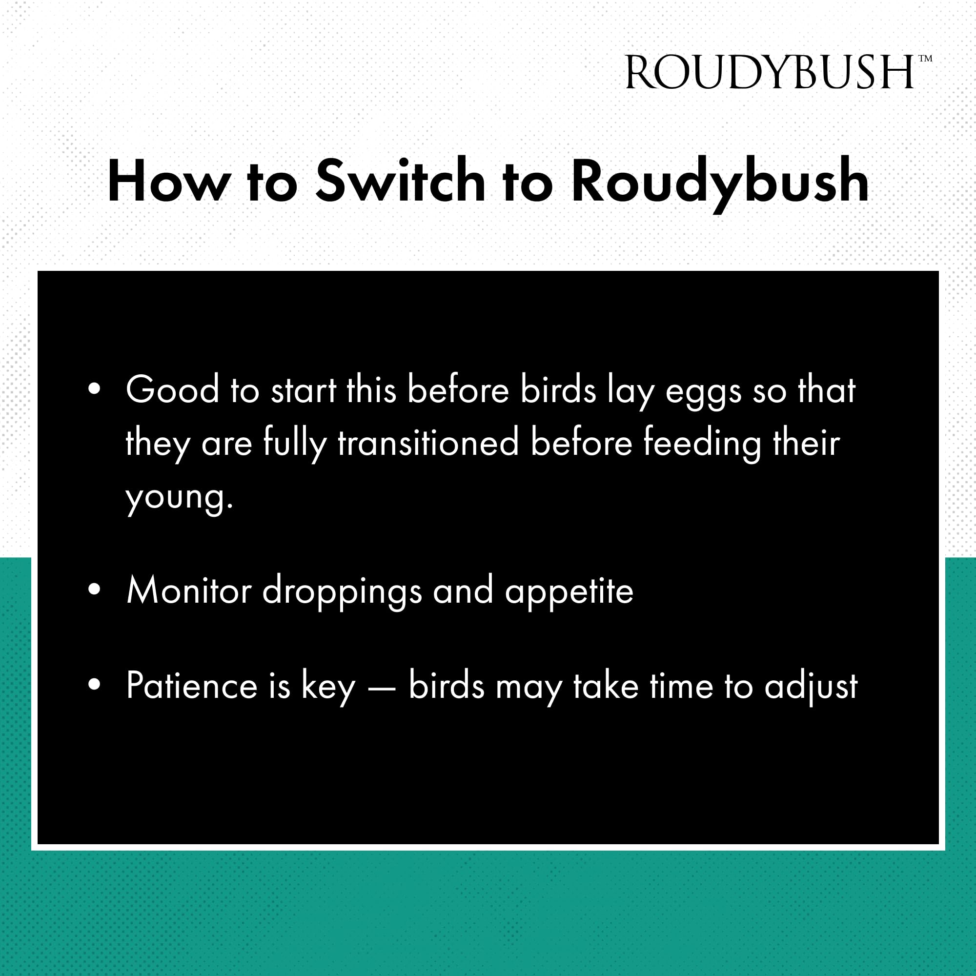 Roudybush California Blend transition food setup for easy diet changes.