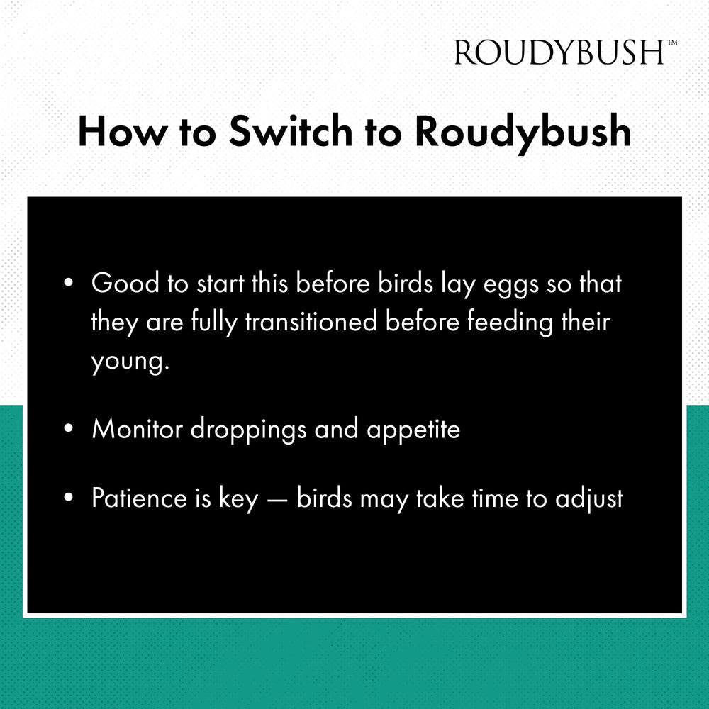 Roudybush California Blend transition food setup for easy diet changes.