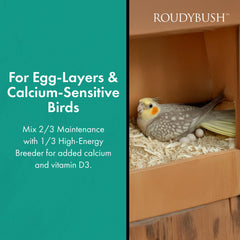 Roudybush lovebirds with pellets emphasizes size-appropriate nutrition for tiny parrots.