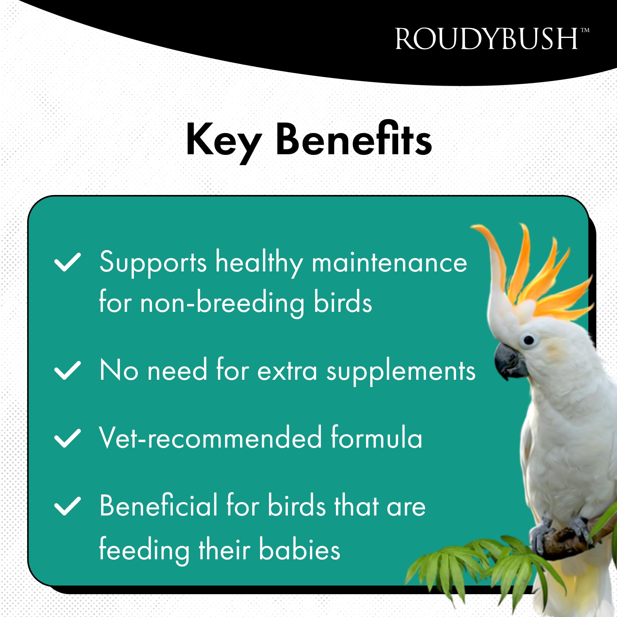 Transition diet pellets from Roudybush to ease dietary changes for birds
