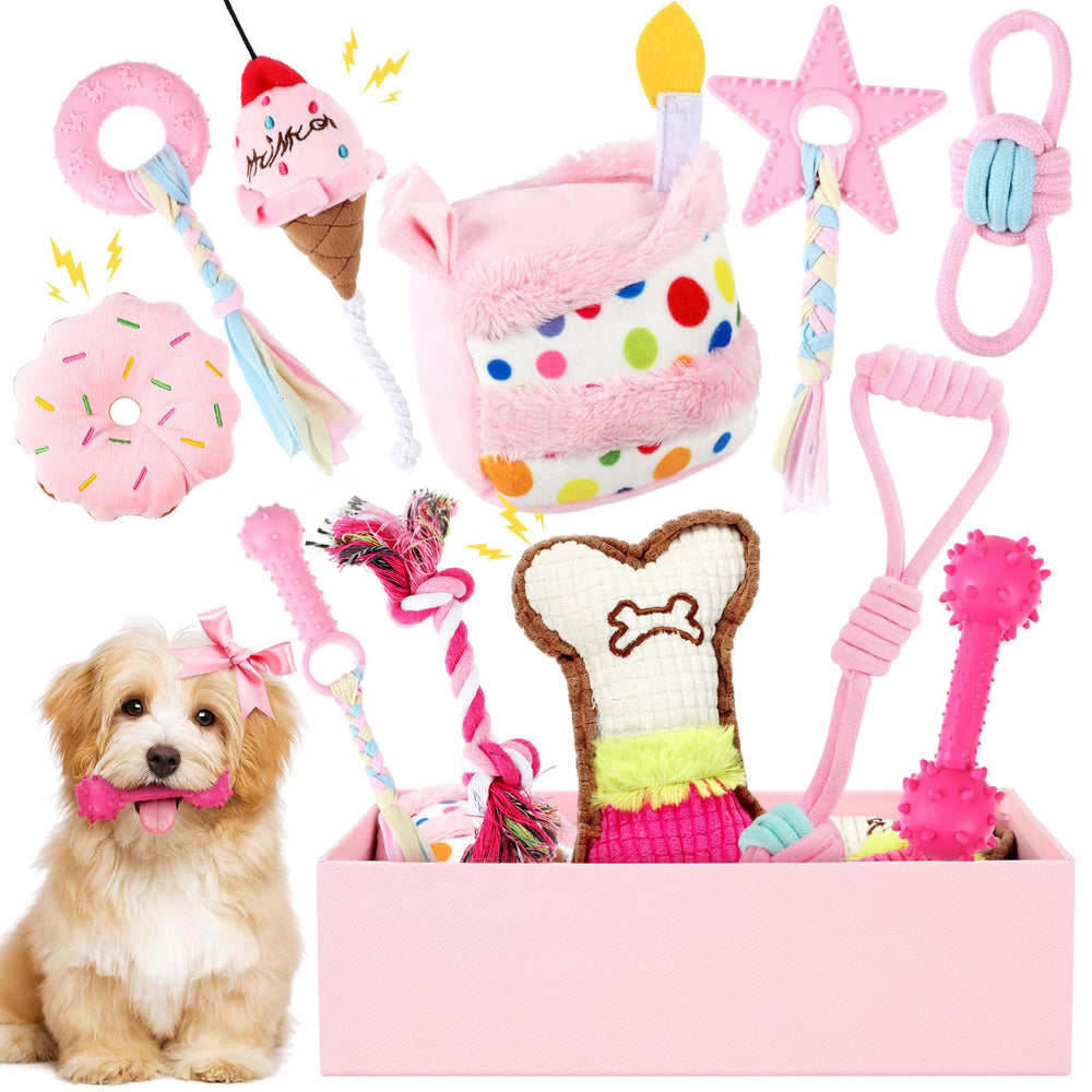 RoundFunny birthday cake toy for dogs sparks joyful play and curiosity