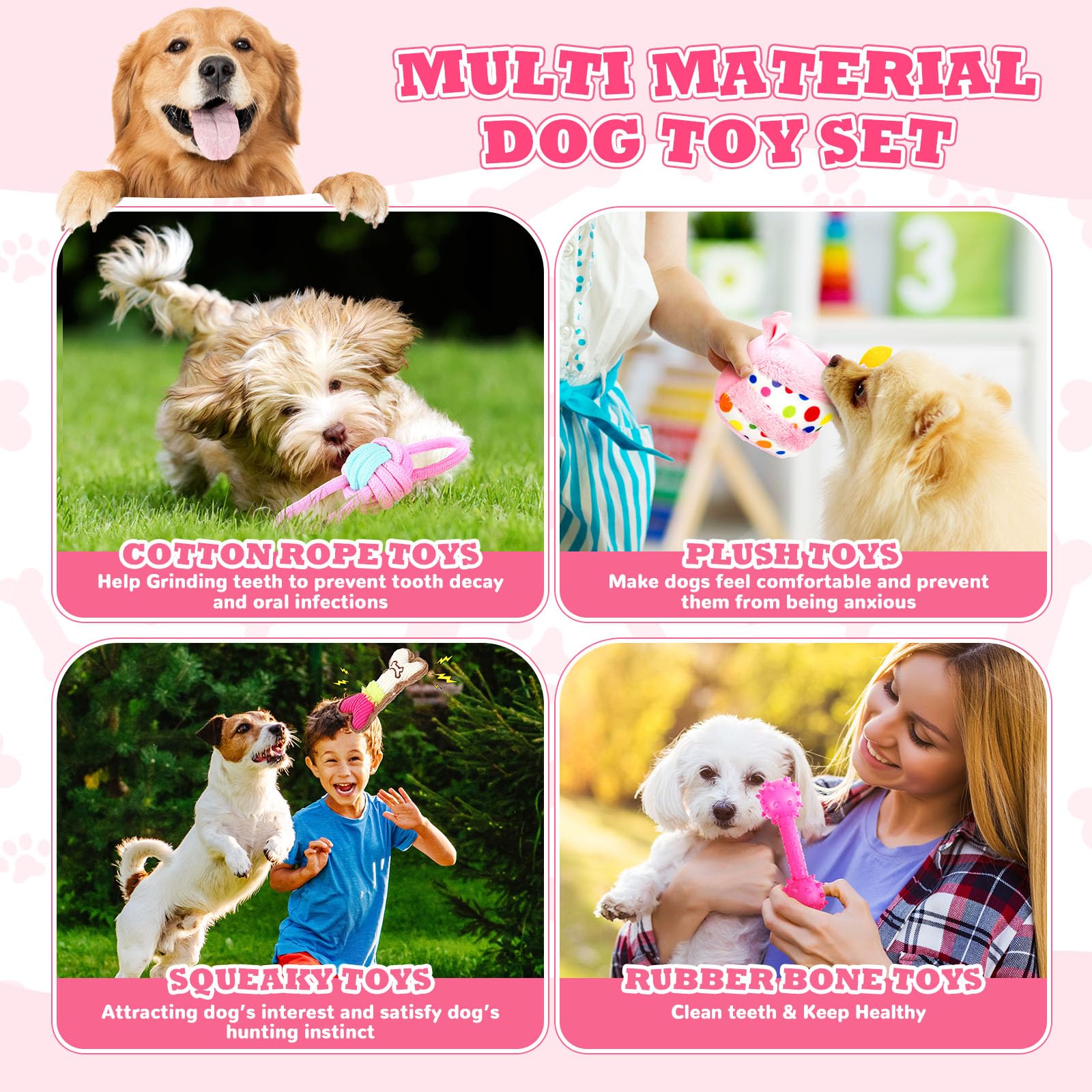 RoundFunny pink gift box presentation ready to gift to dog owners
