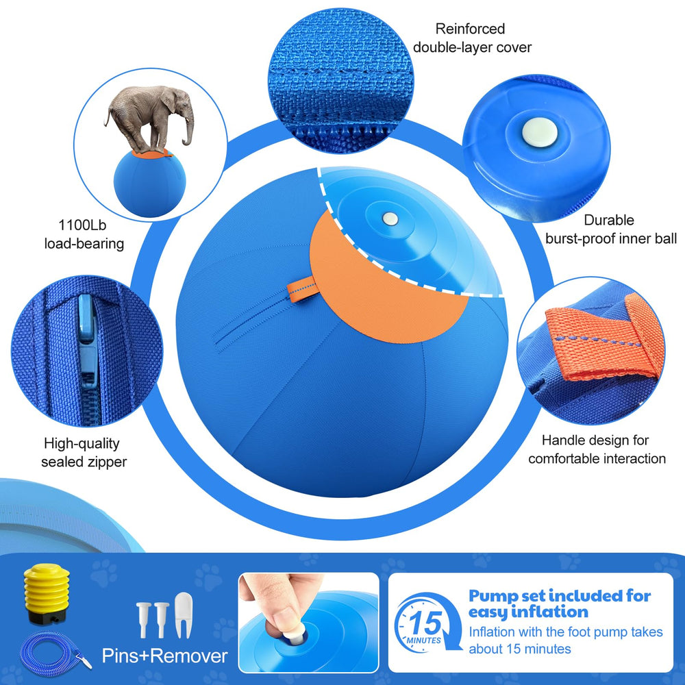 RoundT2 Happypaw 18 inch ball with high contrast colors for better visibility