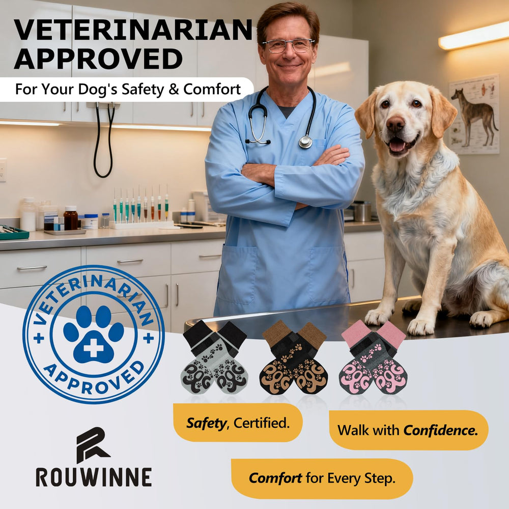 Rouwinne senior dog wearing socks for confident walking