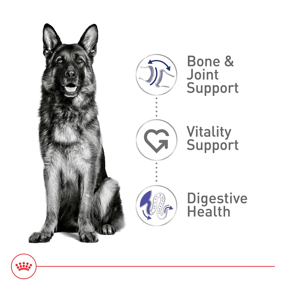 Royal Canin 5+ vitality blend graphic illustrating heart, kidney, and brain support ideas
