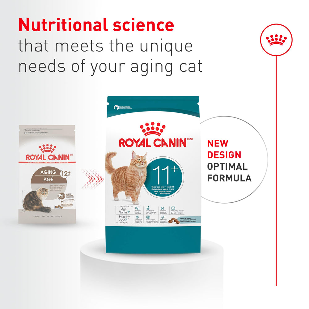 Close-up of Aging 11+ kibble texture supports easy chewing for older cats.