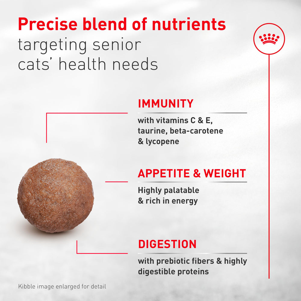 Front view of Royal Canin Aging 11+ packaging communicates senior nutrition.