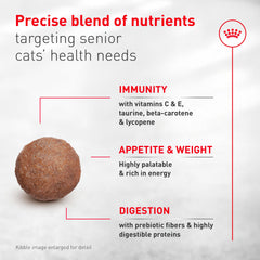 Front view of Royal Canin Aging 11+ packaging communicates senior nutrition.