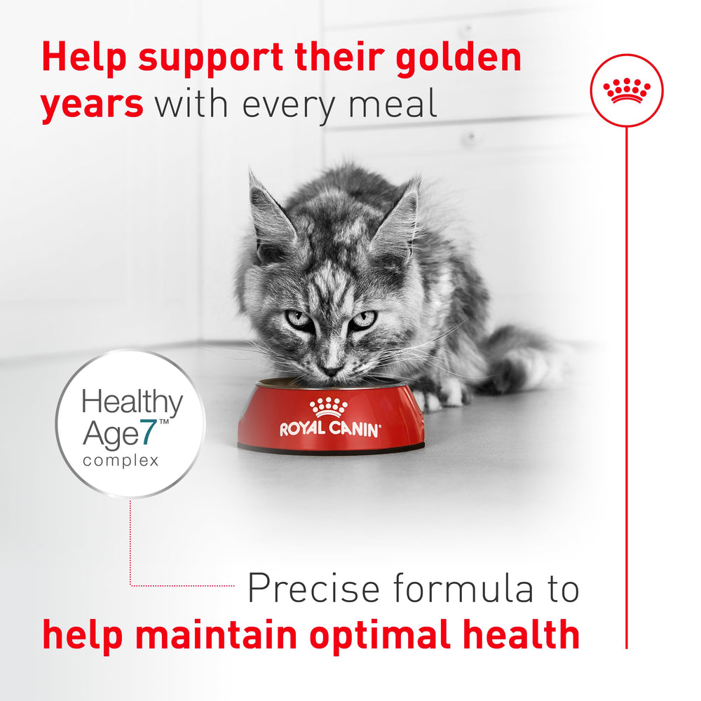 Kibble shows coat-friendly minerals and fats for skin health.