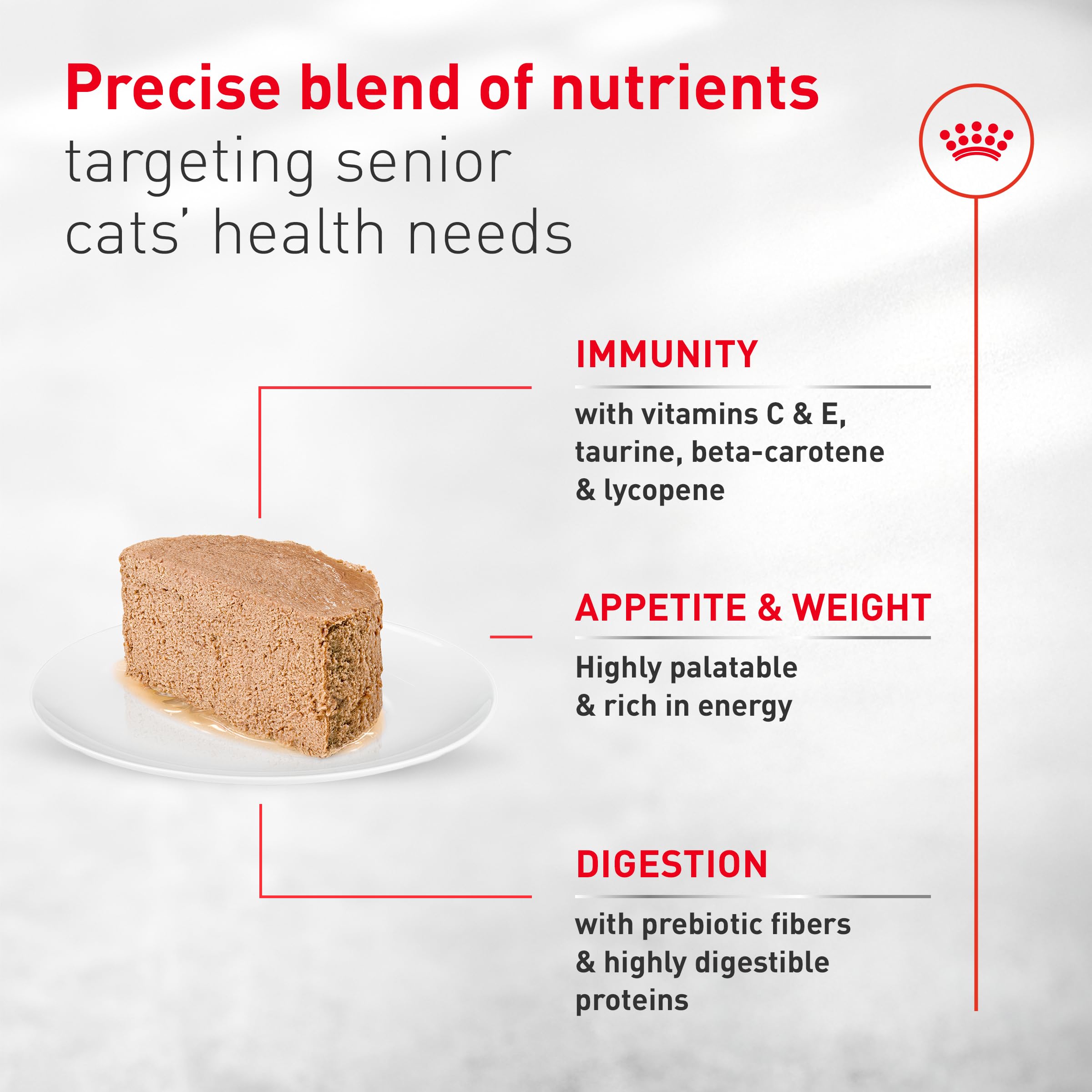 Serving suggestion shows palatable wet food aiding elderly cats' mealtime.