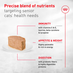 Serving suggestion shows palatable wet food aiding elderly cats' mealtime.