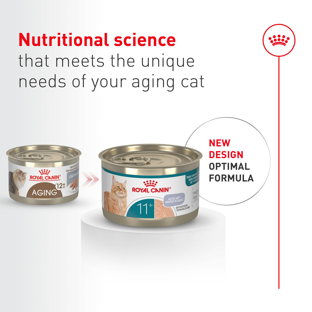 Close-up of Royal Canin Aging 11+ mousse texture, inviting for senior cats.