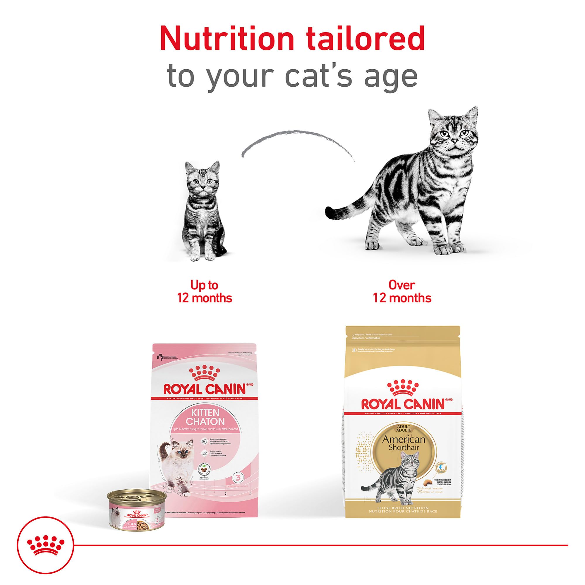 Royal Canin American Shorthair ingredients label emphasizing digestible proteins and prebiotics