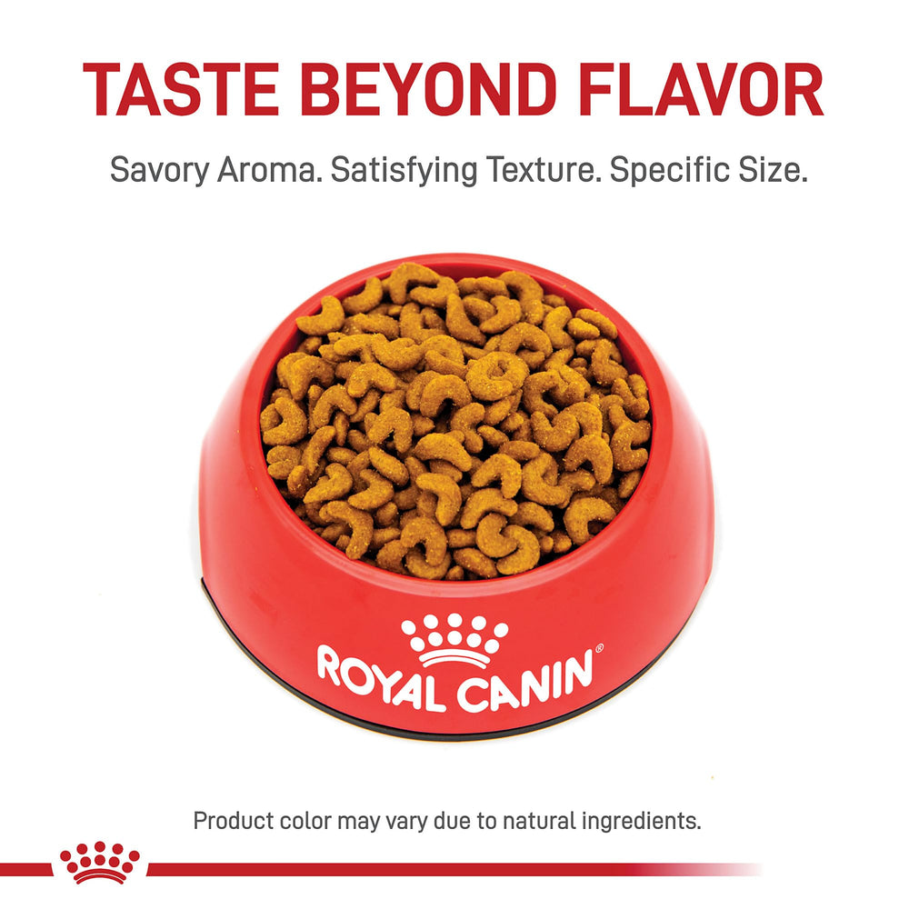Royal Canin American Shorthair kibble closeup highlighting crescent-shaped pieces for easier chewing