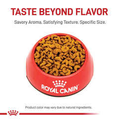 Royal Canin American Shorthair kibble closeup highlighting crescent-shaped pieces for easier chewing