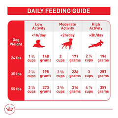 Royal Canin antioxidant blend image highlighting immune support for aging medium dogs
