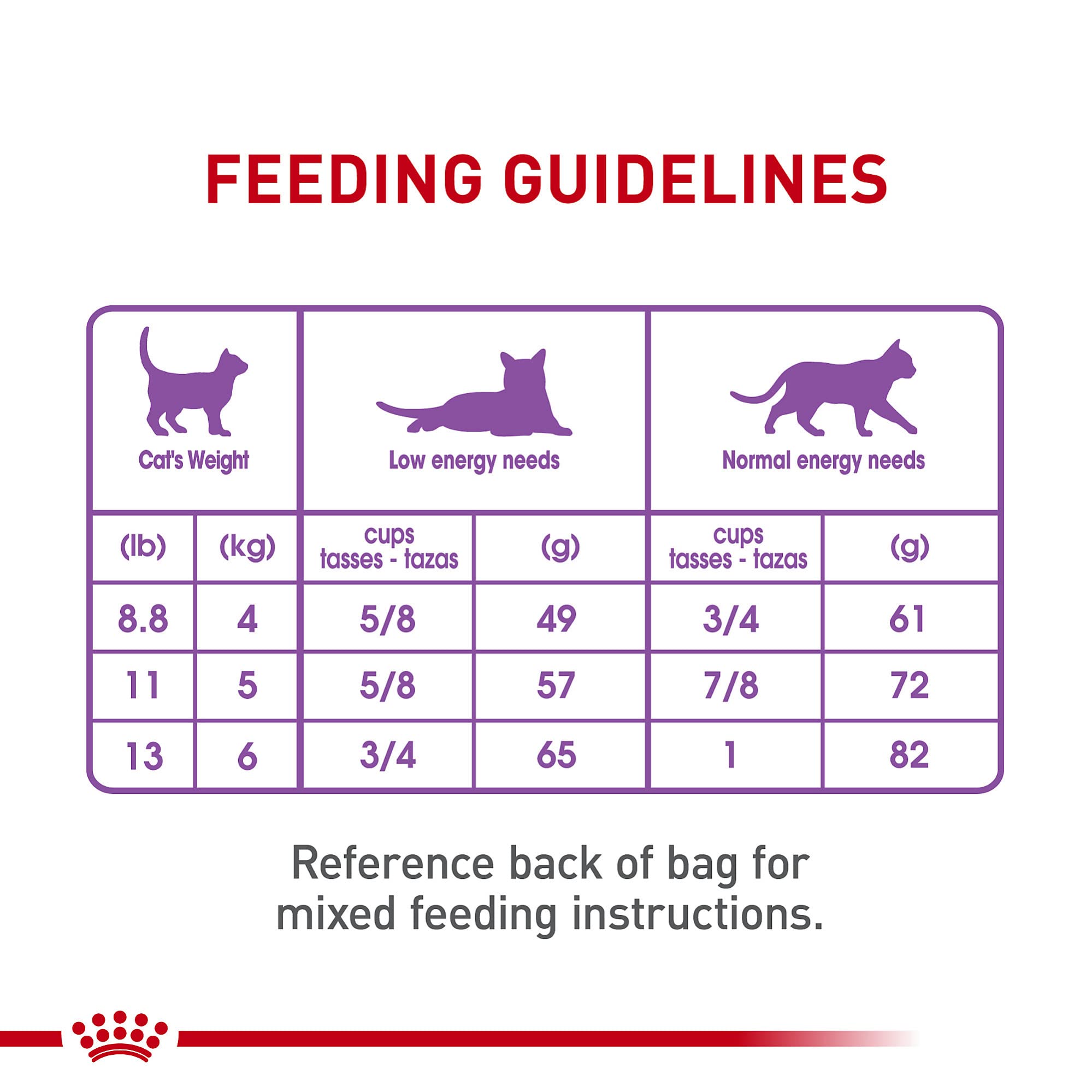 Royal Canin Appetite Control cat eating session