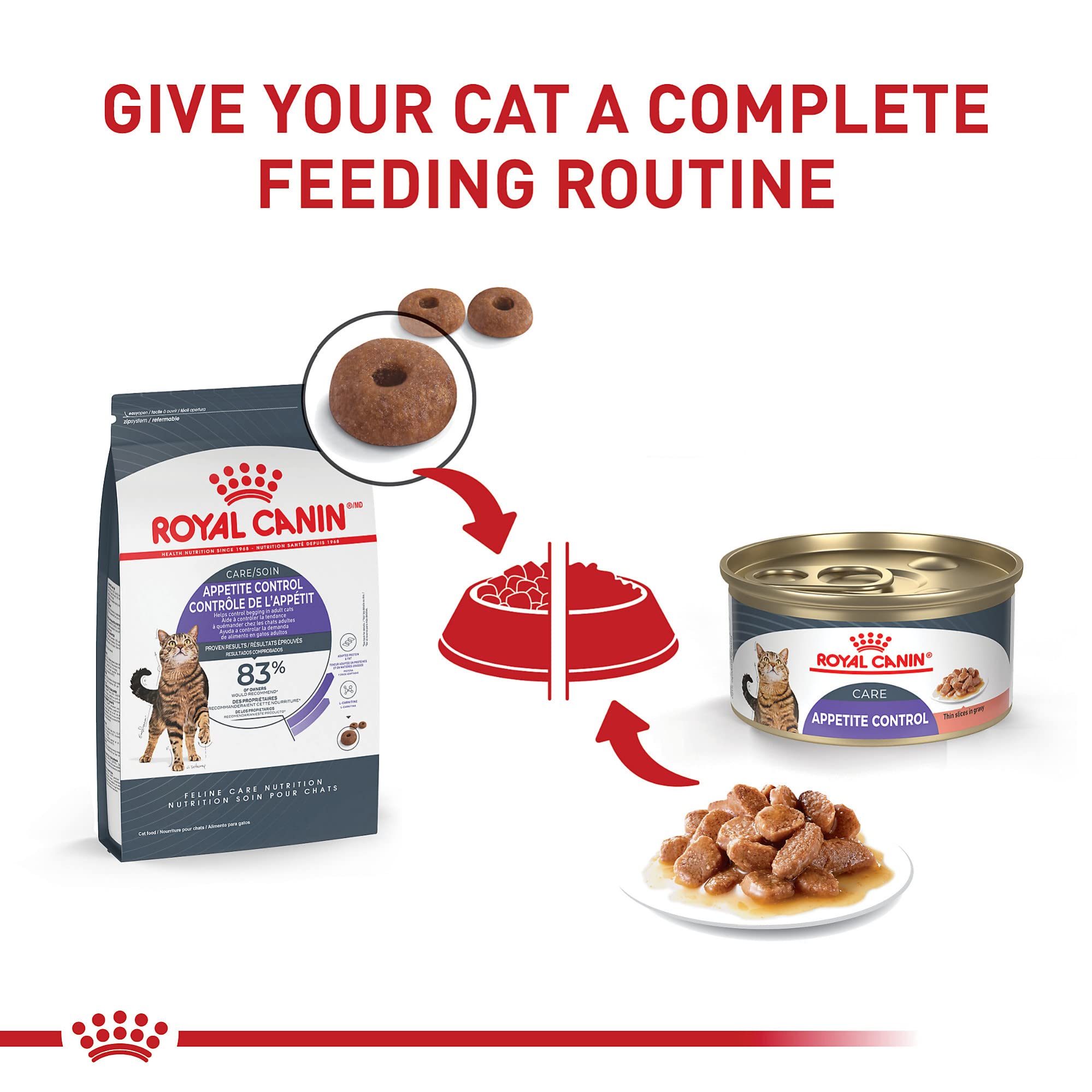 Royal Canin Appetite Control cat feeding time in kitchen