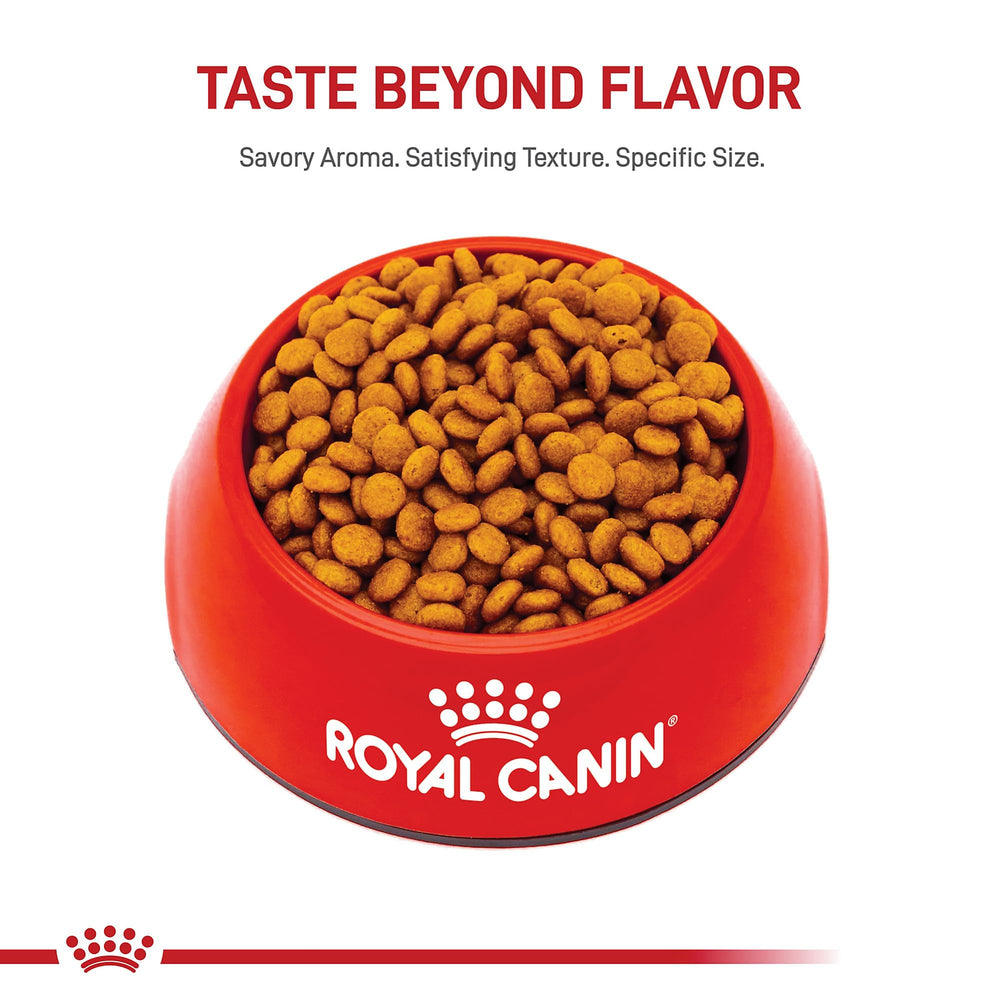 Royal Canin back-of-pack highlights antioxidants and prebiotics.