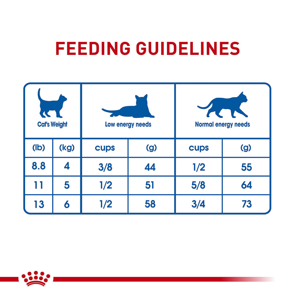 Front label of Royal Canin Indoor Long Hair dry cat food bag