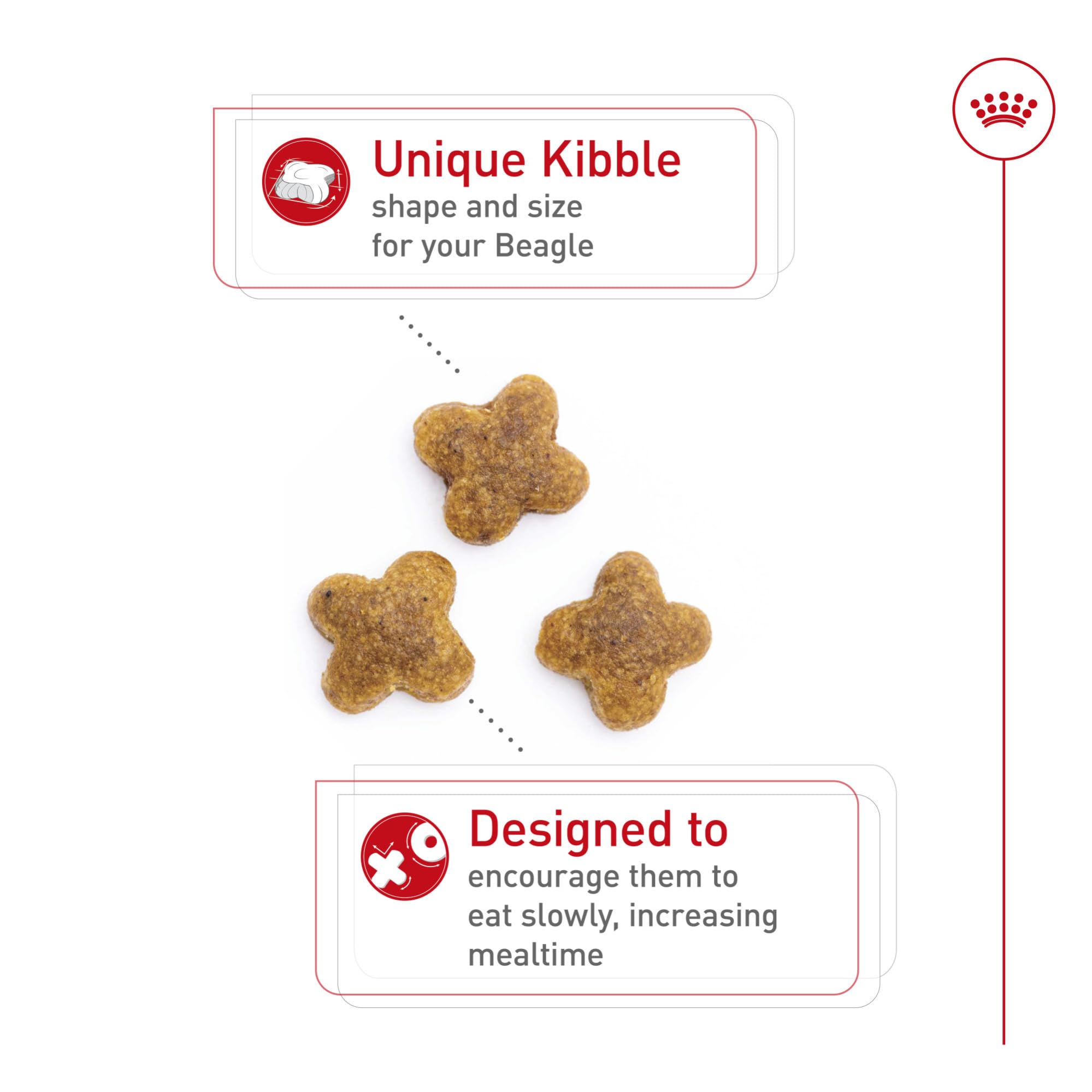Kibble close-up designed to slow Beagle eating and encourage chewing