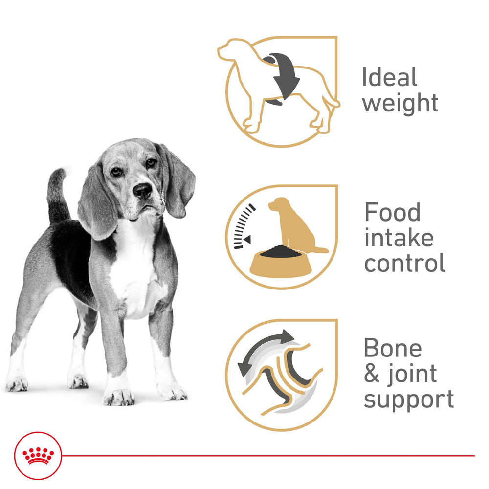 Royal Canin Beagle Adult fiber blend close-up emphasizes fullness and appetite control.