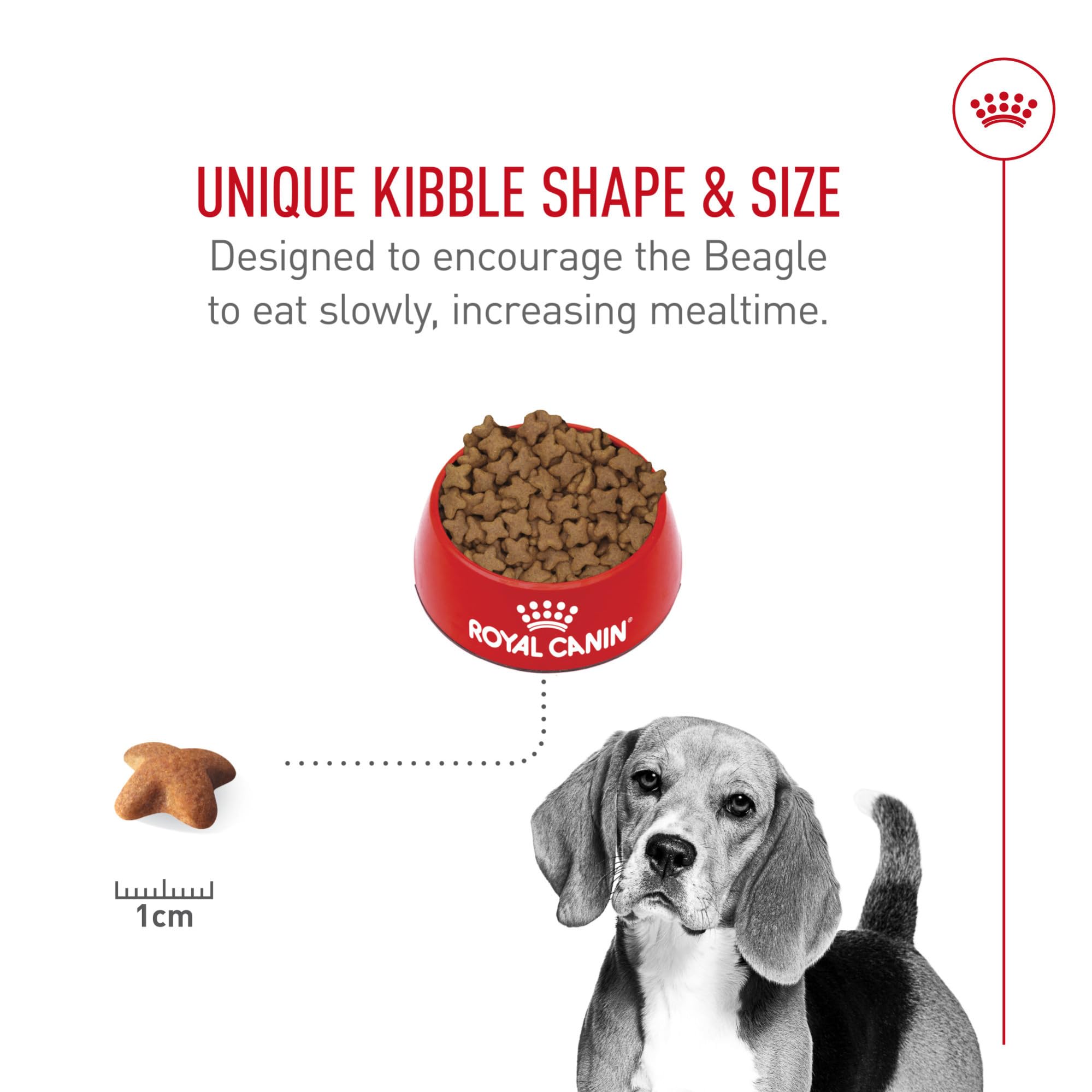 Royal Canin Beagle Adult weight-management artwork indicates tailored calories.