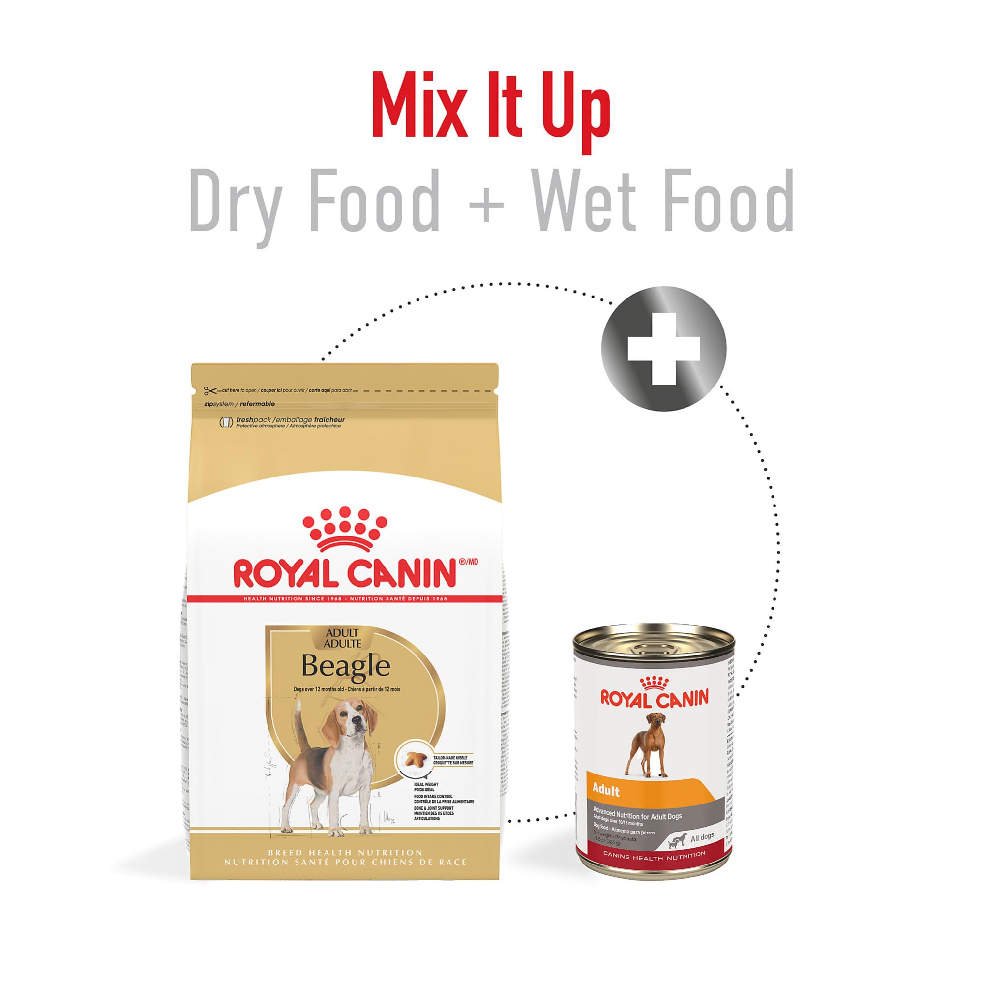 Beagle bone and joint support with glucosamine in the formula