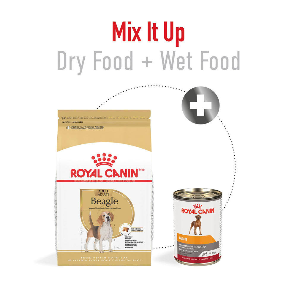 Beagle bone and joint support with glucosamine in the formula