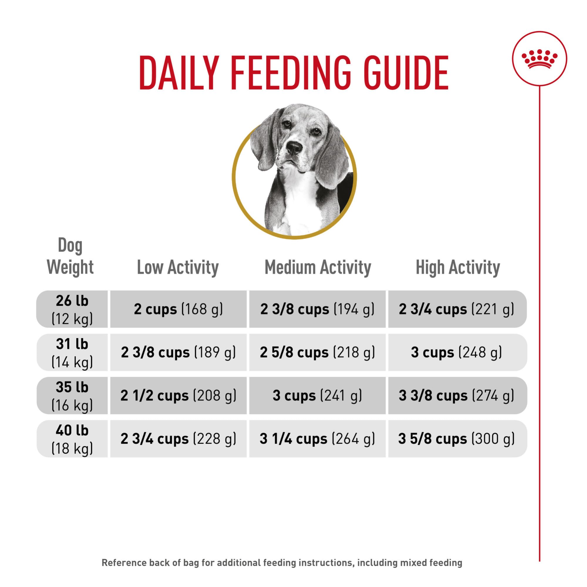 Royal Canin Beagle serving bowl showing meal portion