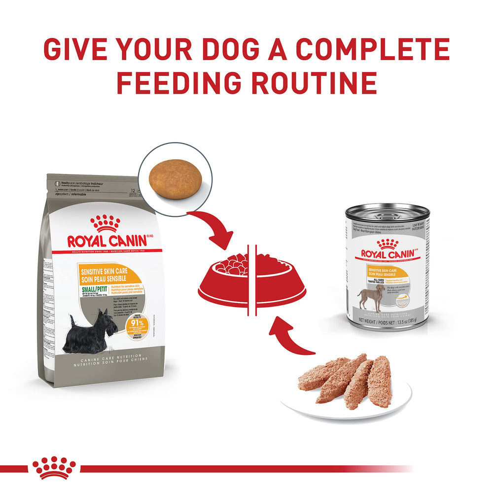 Royal Canin tip: keep bedding clean to protect sensitive skin.