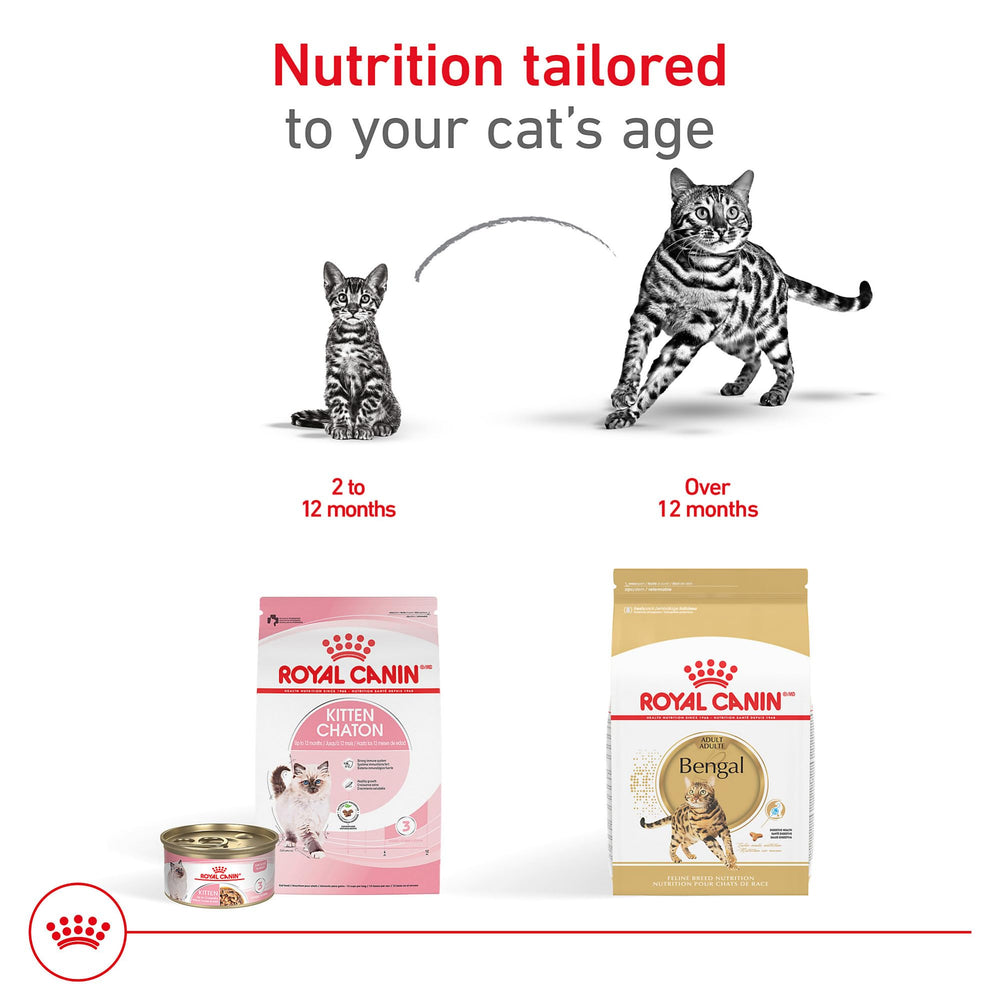 Royal Canin Bengal coat shine image emphasizes skin and coat support benefits