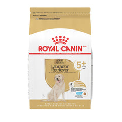 Royal Canin Labrador 5+ dry food bag showcasing senior nutrition for aging labs.