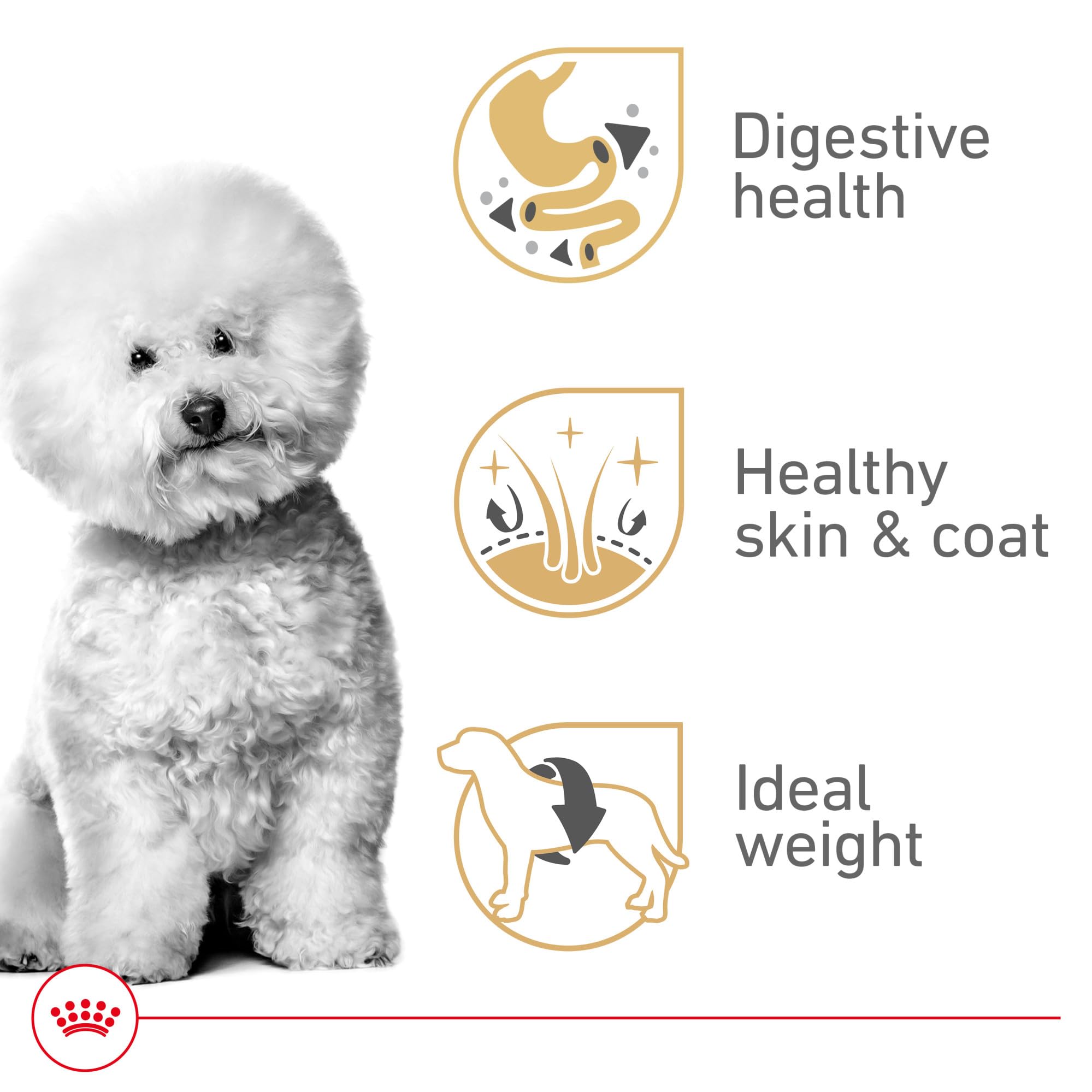 This image shows Royal Canin Bichon Frise skin and coat support formula.