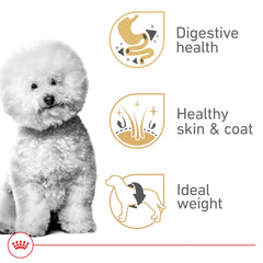 This image shows Royal Canin Bichon Frise skin and coat support formula.