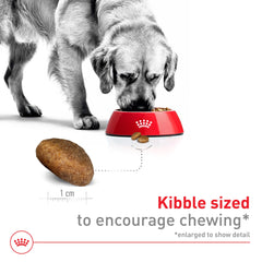 Royal Canin bone and joint support image emphasizes sturdy joints for large dogs.