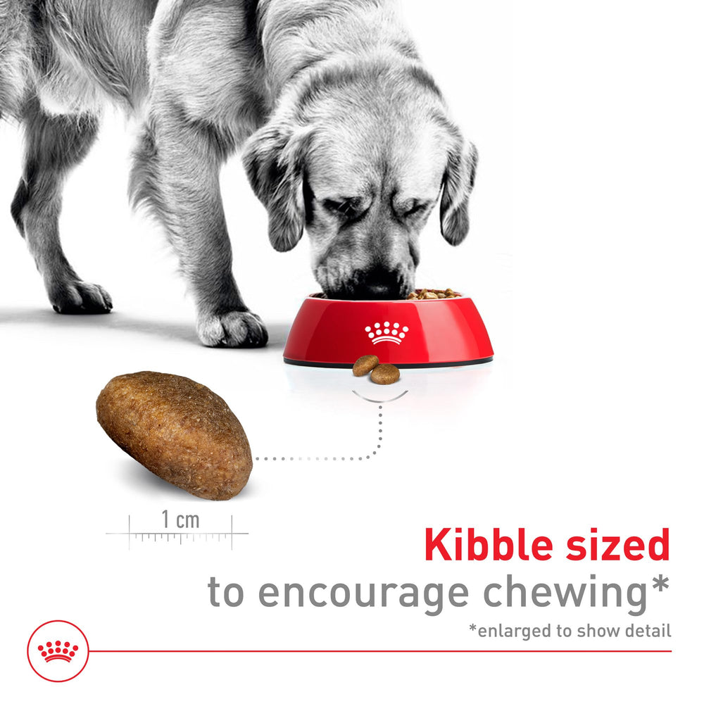 Royal Canin formula emphasizes bone and joint support for large dogs.