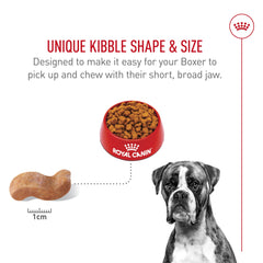 Royal Canin Boxer Adult dog in motion showcasing energy support.