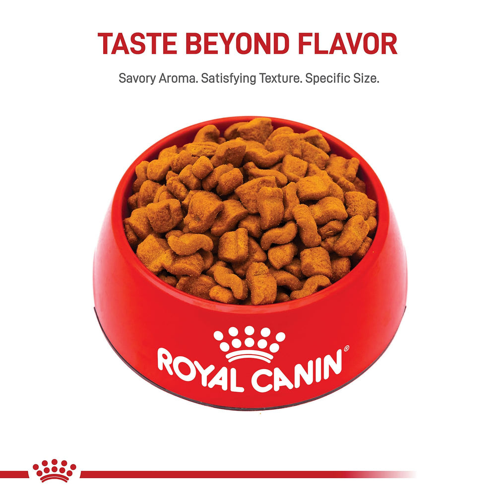 Royal Canin Boxer Adult muscle support and weight management.
